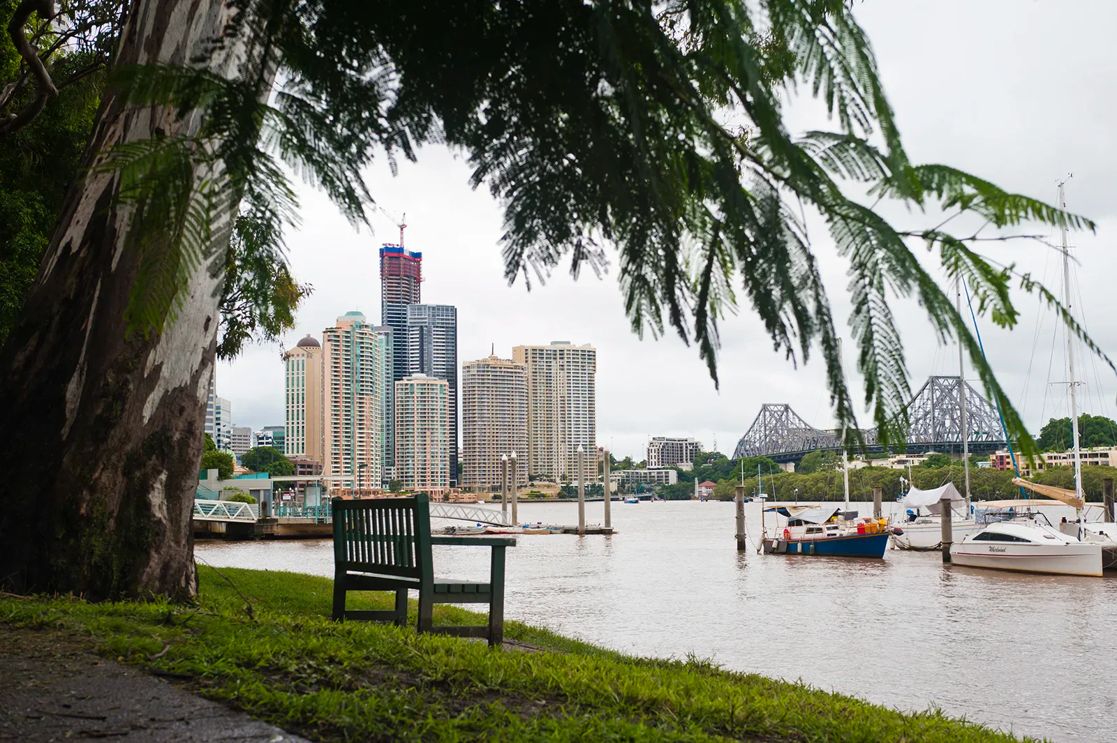 Home 6 | | Brisbane Botanica